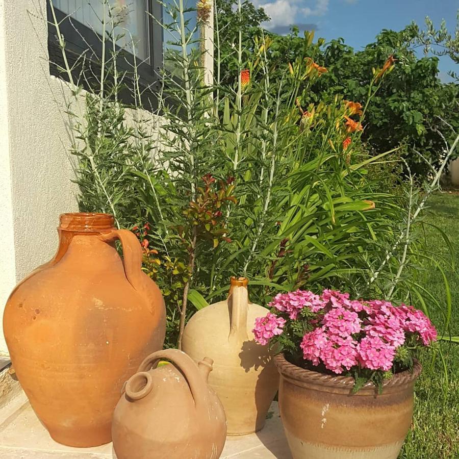 Philoxenia Bed & Breakfast Pourrieres Eksteriør bilde