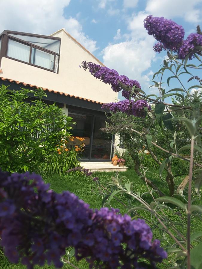 Philoxenia Bed & Breakfast Pourrieres Eksteriør bilde